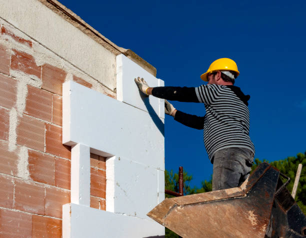 Best Eco-Friendly Insulation in La Salle, CO