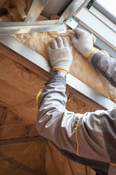 Best Fiberglass Insulation in La Salle, CO