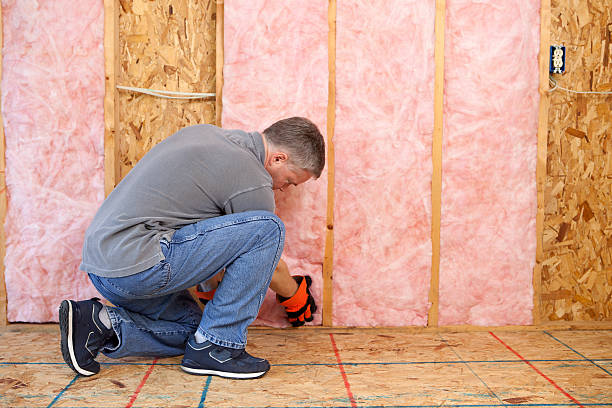 Best Insulation for Specific Applications in La Salle, CO