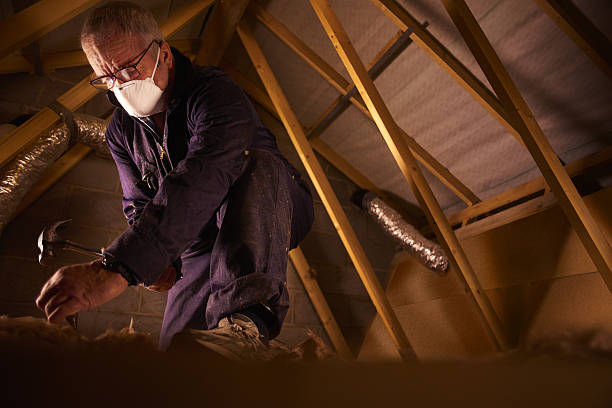 Trusted La Salle, CO Insulation Contractor Experts